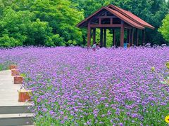 -厦门园林博览苑
