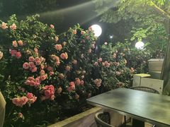 -蘇河湾·新鲁菜·泰山宴(泰山店)