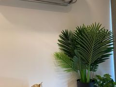 -川耳坊专业采耳馆