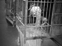 iphone_upload_pic-百花深处胡同