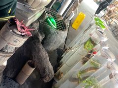 -竹泉农庄·竹筒饭(从化店)