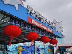 -芜湖新华联大白鲸海洋公园