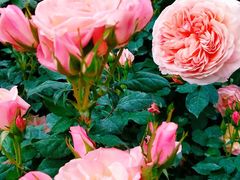 -人民公园(罗湖区)