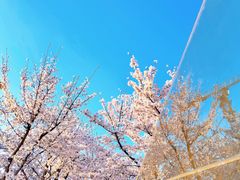 -龙美术馆(西岸馆)