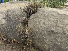 -白水寺森林公园