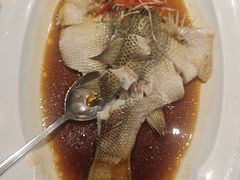 -眉州东坡(北苑华贸店)
