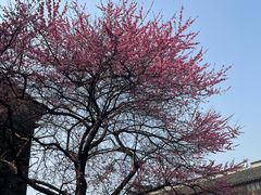 -比斯特苏州购物村精品奥特莱斯