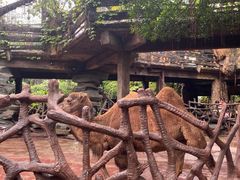 -长鹿旅游休博园