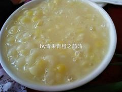 -老村长农家院