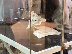 -悠尼宠物·独立低压伊珊娜洗护·美容·寄养(兰谷路店)