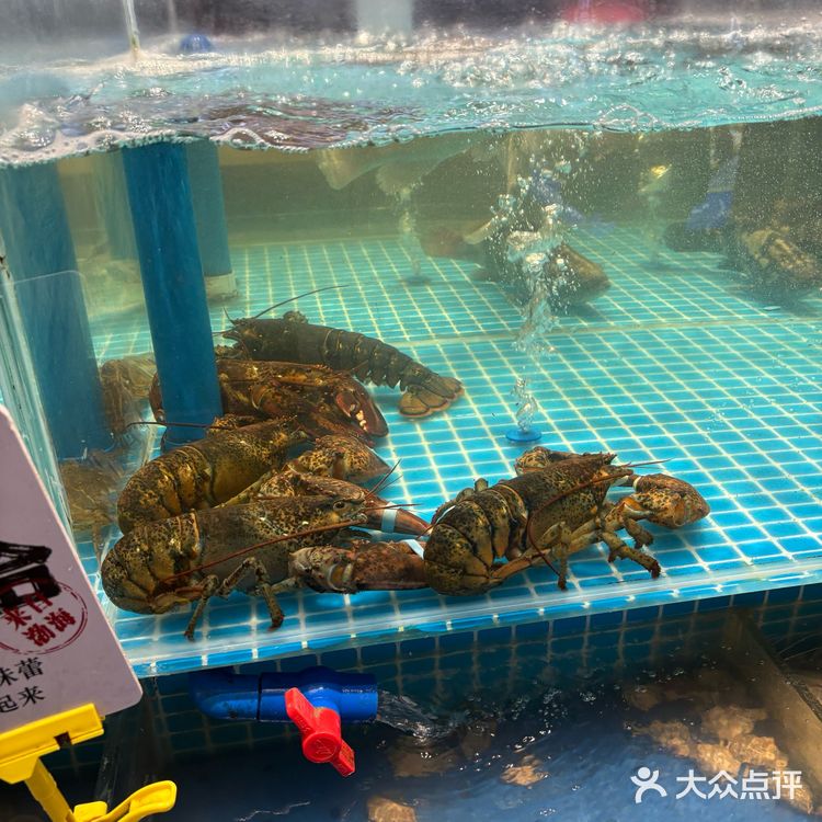 曹妃甸美食 唐山探店#唐山美食#唐海馇八带