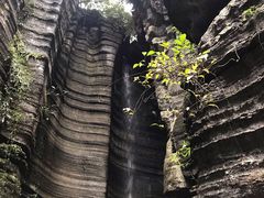 -梭布垭石林景区