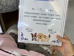 -达爱动物医院·犬猫分区·CT·复杂眼科(远洋山水分院)