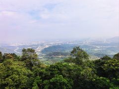 -黄埔油麻山森林公园