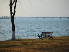-漕湖湿地公园