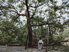 -井塘古村