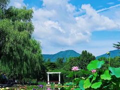 -国家植物园南园