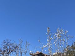 -西海子公园