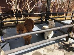 -波塞冬旅游度假区