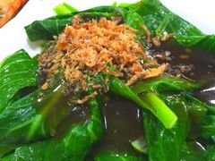 baby&nbsp;菜-纽顿熟食中心