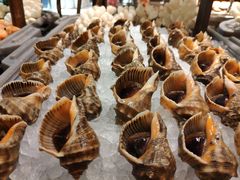 -喜来登酒店-盛宴标帜餐厅