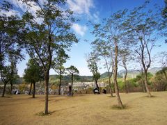 -牛岗山公园