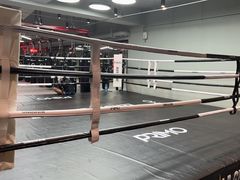 -花环泰拳·勒德斯拉泰拳馆(静安店)