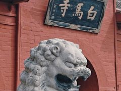 -洛阳白马寺