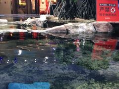 -鸿通城购物中心