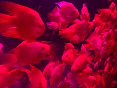 -左海海底世界