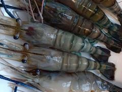 -Thai Basil罗勒叶泰式餐厅(时代天街店)