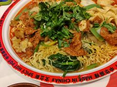 -文立新麻辣烫(合生汇21街区店)