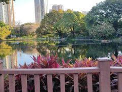 -晓港公园