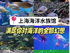 -上海海洋水族馆