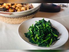 清炒豌豆尖-泓0871臻选云南菜·味庄