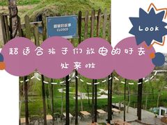 -前小桔亲子创意农场·草莓采摘·露营烧烤