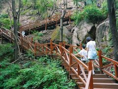 -大岭沟猕猴桃谷风景区