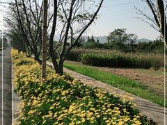 -长田漾湿地公园