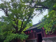 -晋祠公园