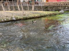 -水磨沟公园