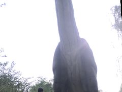 -自然谷恐龙园