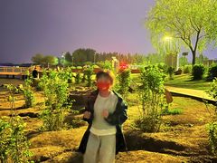 -丁香湖公园