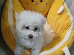 -贝康宠物医院·犬猫全科·小动物特色诊疗中心(东环路店)