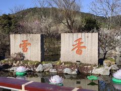 -香雪海