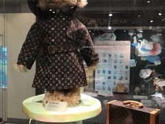 -济州岛泰迪熊博物馆