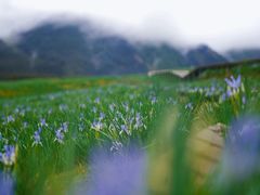 -亿利库布其七星湖沙漠生态旅游区