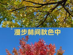 -斯普瑞斯奥特莱斯