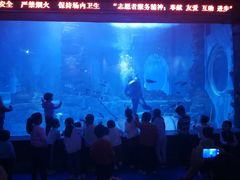 -无锡海洋馆