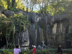 -西双版纳原始森林公园