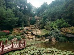 -铁山坪森林公园